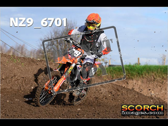 Experts-115