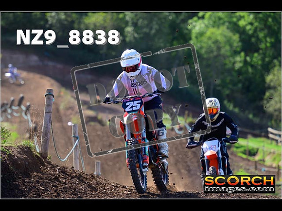 Inters-446