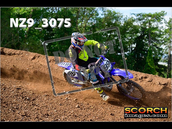 Experts-265