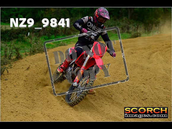 Experts-260