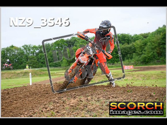 LDR Wed 31-May Experts-057
