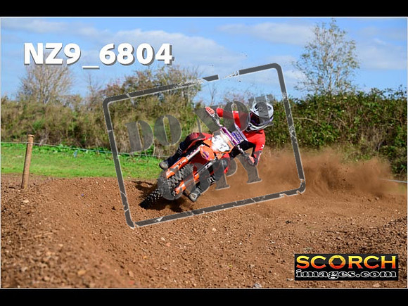 Experts-300
