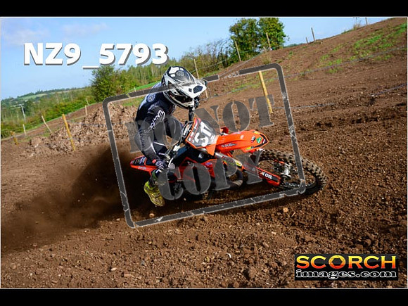 Experts-023