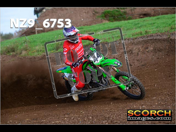 Experts-252