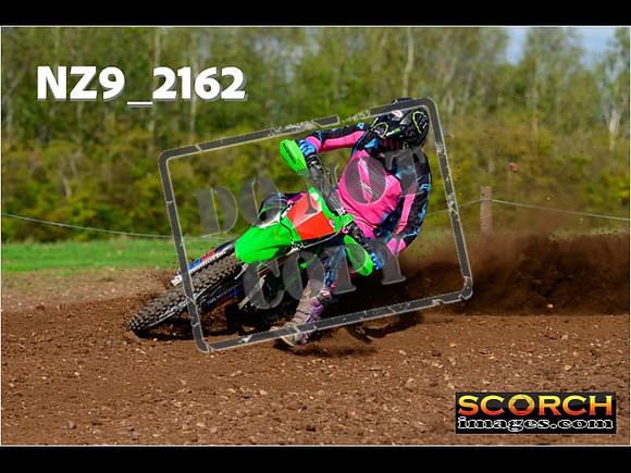 Experts-291