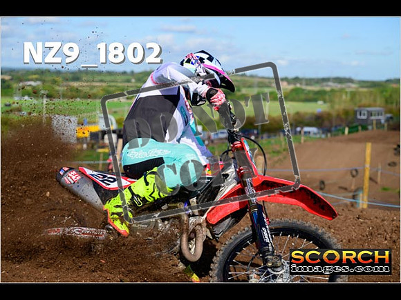 Experts-226