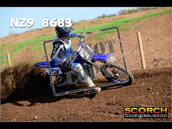 Inters-393