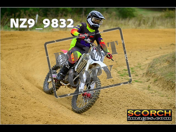 Experts-251