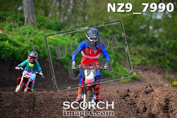 NZ9_7990