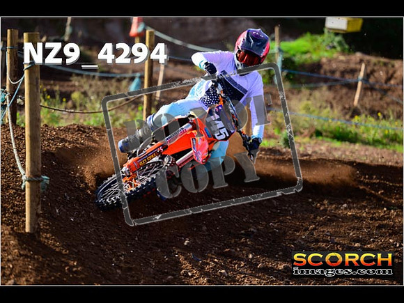 Experts-156