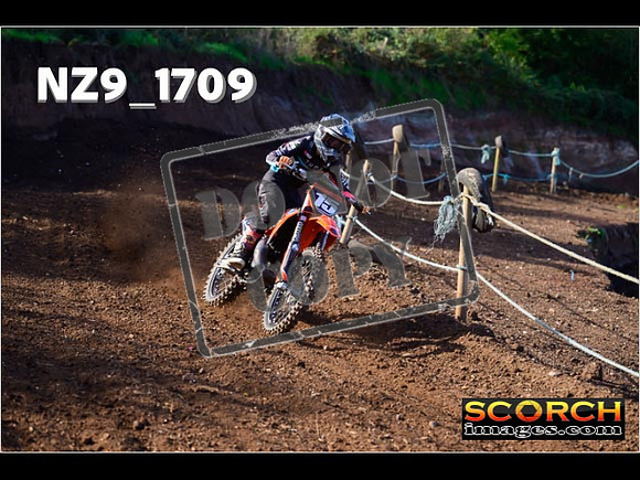Experts-140