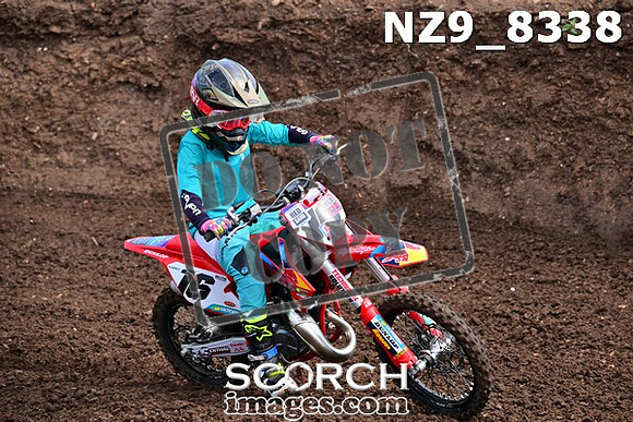 NZ9_8338