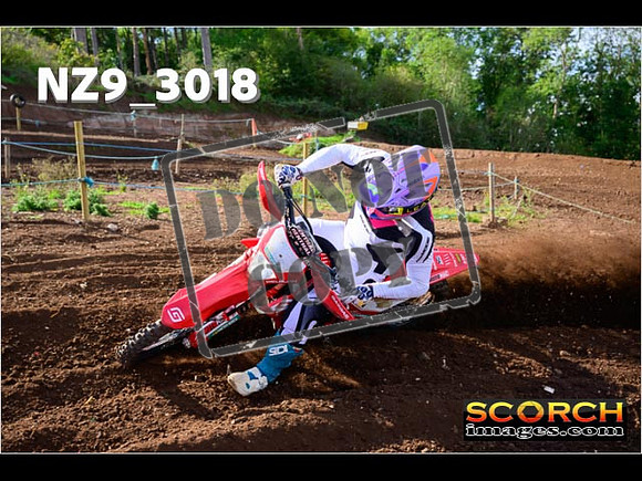 Experts-212