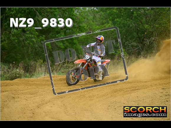 Experts-249