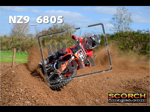 Experts-301