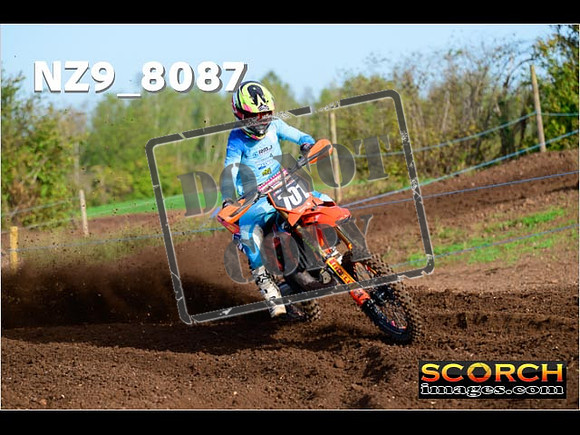 Experts-081