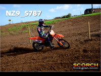 Experts-017