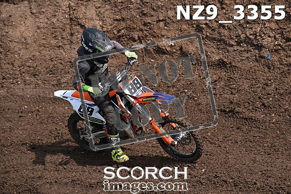 NZ9_3355
