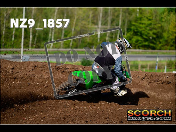 Inters-231