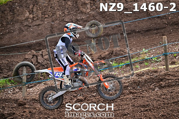 NZ9_1460-2