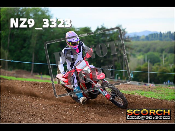 Experts-286