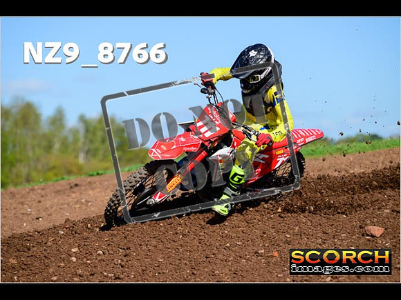Experts-267