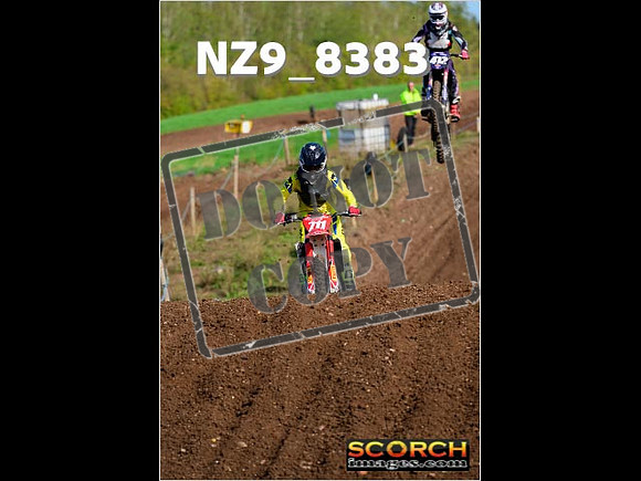 Experts-146