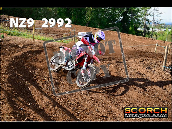 Experts-187