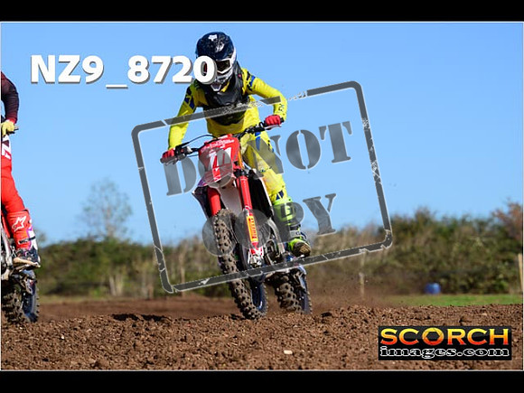 Experts-223