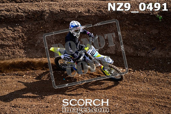 NZ9_0491