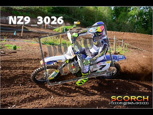 Experts-220