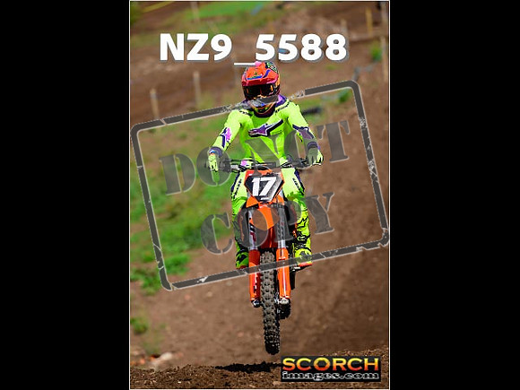 Inters-245
