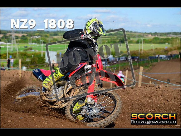 Experts-232