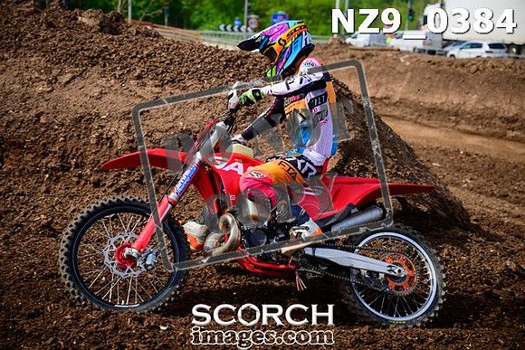 NZ9_0384
