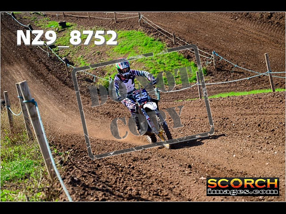 Experts-253
