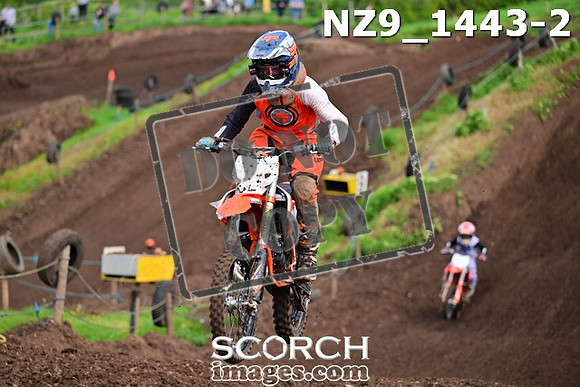 NZ9_1443-2