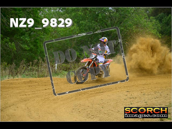 Experts-248