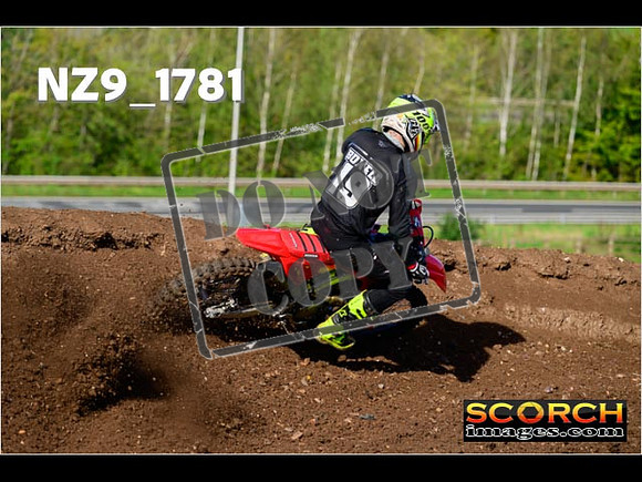Experts-207