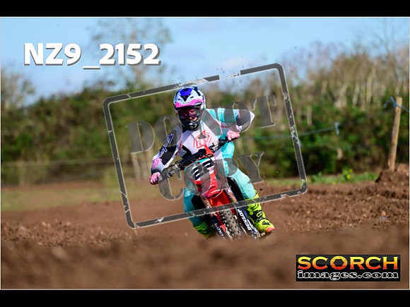 Experts-282