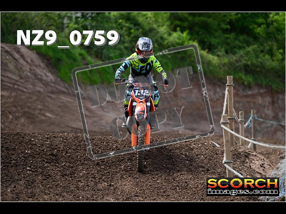 IntersGreen-291