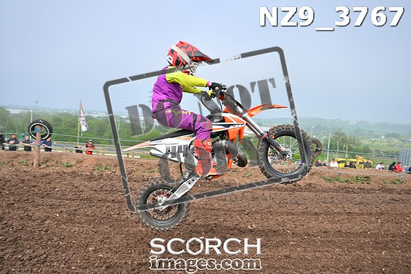 NZ9_3767