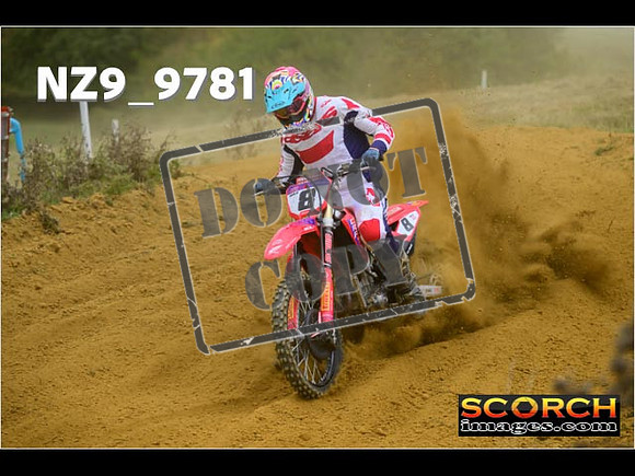 Experts-203