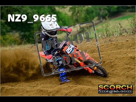 Auto 65's-001