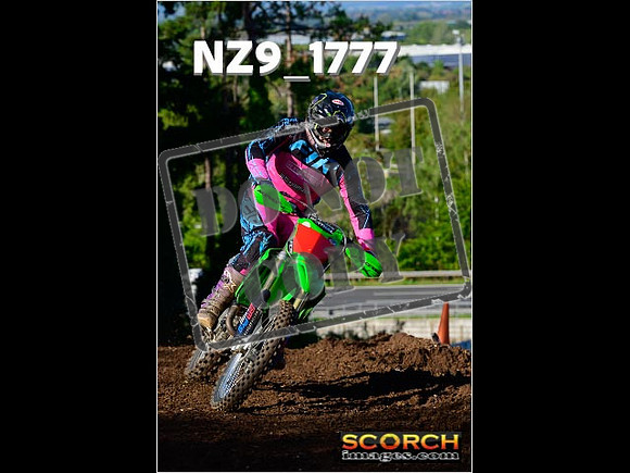 Experts-203