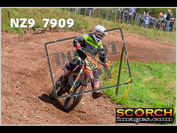 Lower Drayton Vets-39
