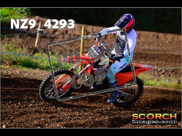 Experts-155