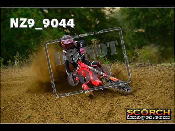 Experts-089