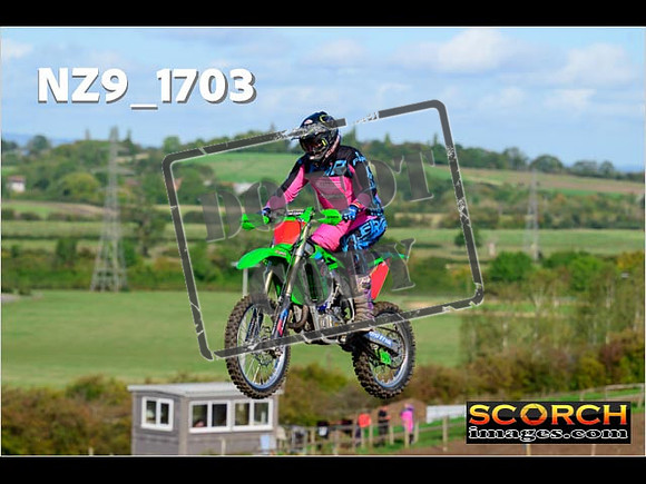Experts-135