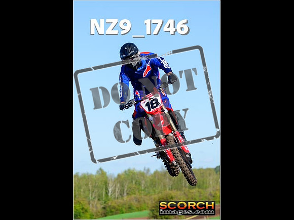 Experts-173