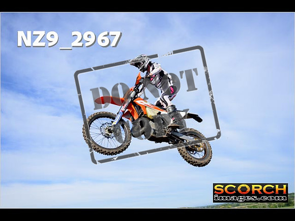 Experts-164